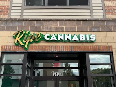 Ripe Cannabis