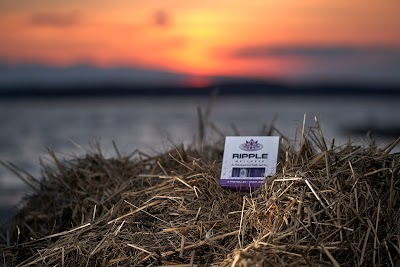 Ripple Wellness - Saco: Medical Cannabis Dispensary