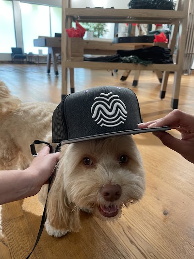 RISE Kendall Medical Marijuana Dispensary