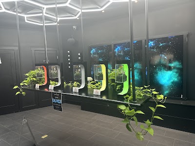 RISE Medical and Adult Use Marijuana Dispensary Bethesda