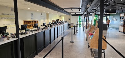 RISE Medical & Recreational Cannabis Dispensary East Syracuse