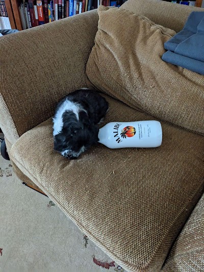 RISE Medical & Recreational Cannabis Dispensary Halfmoon - Clifton Park New York