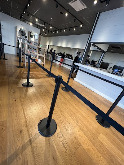 RISE Medical & Recreational Marijuana Dispensary Paterson