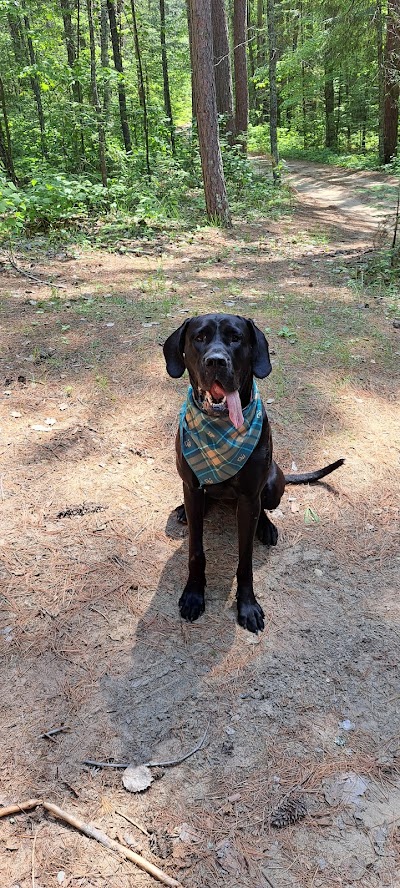 RISE Medical Cannabis Dispensary Baxter