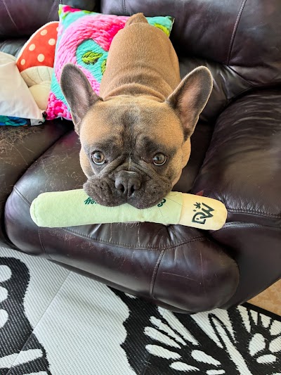 RISE Medical Cannabis Dispensary Sun City