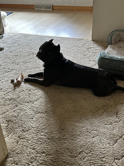 RISE Medical Marijuana Dispensary Meadville