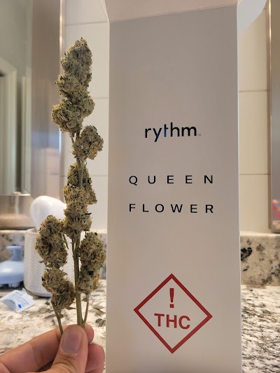 RISE Medical Marijuana Dispensary Tallahassee on Tennessee