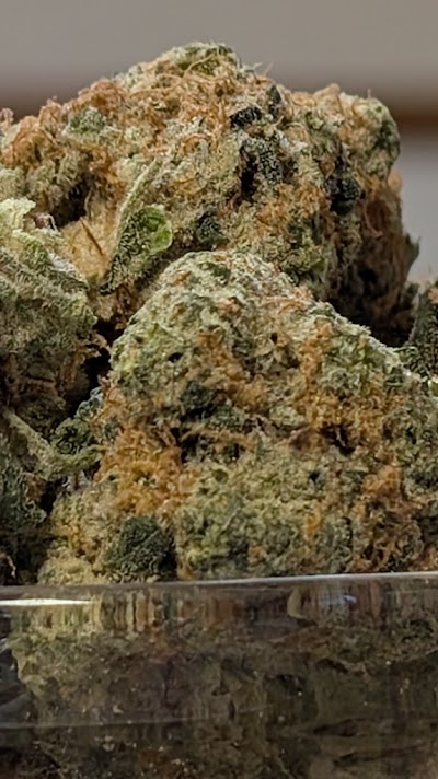 RISE Medical Marijuana Dispensary York