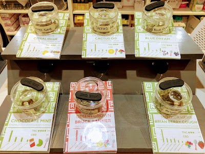 RISE Recreational Dispensary Carson City