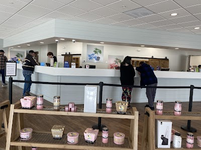 RISE Recreational Dispensary Effingham