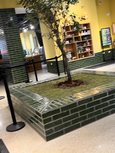 RISE Recreational Dispensary Mundelein