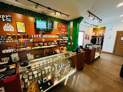 Rocky Mountain Cannabis - Denver Dispensary