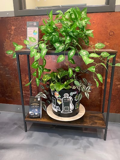 Root 66 Dispensary – Wentzville, MO