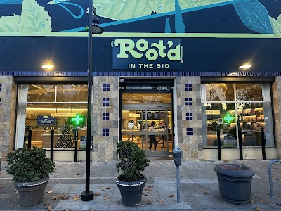 Root'd In The 510 Equity Weed Dispensary