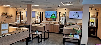 Rose Mary Jane Portland Recreational Cannabis Dispensary