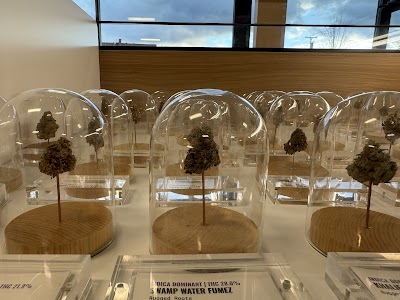 Rose Mary Jane Portland Recreational Cannabis Dispensary