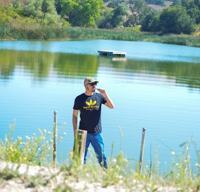 Royal Healing Emporium