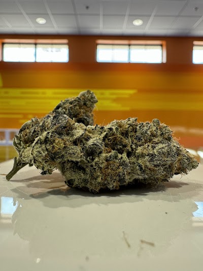 Roy'zzz Premium Cannabis