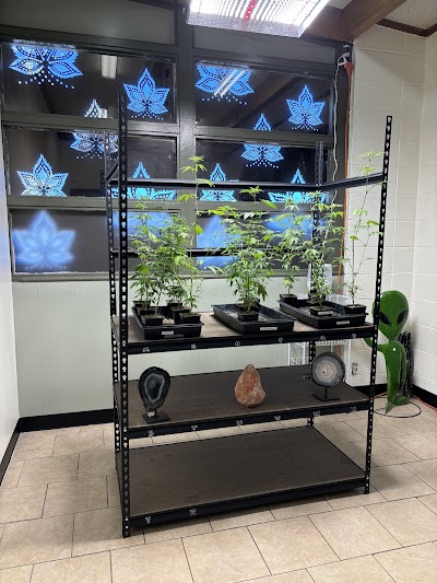 Sacred Garden Dispensary (Out of business)