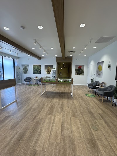 Sanctuary Cannabis Boca Raton Palmetto Dispensary