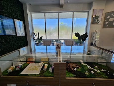Sanctuary Cannabis Clearwater Dispensary