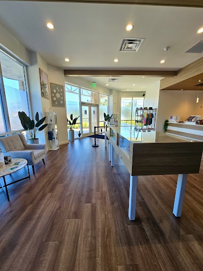 Sanctuary Cannabis Clearwater Dispensary