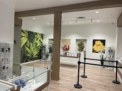 Sanctuary Cannabis Delray Beach