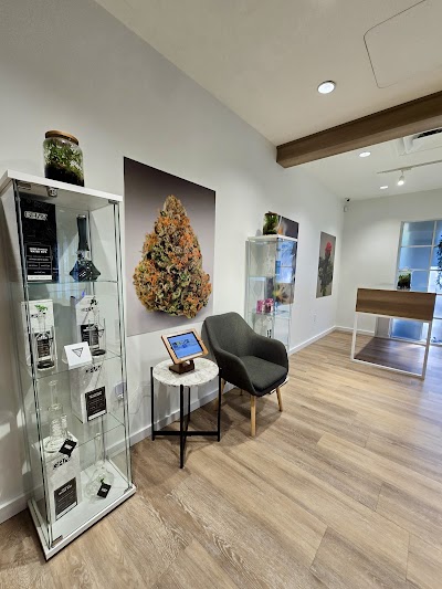 Sanctuary Cannabis Dunedin Dispensary