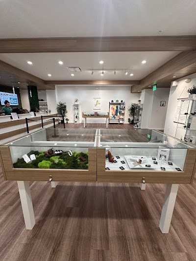 Sanctuary Cannabis Gainesville Dispensary