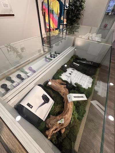 Sanctuary Cannabis Gainesville Dispensary