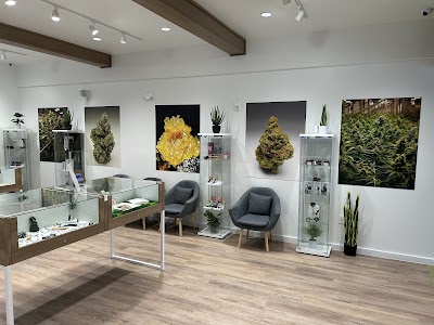 Sanctuary Cannabis Greenacres Dispensary
