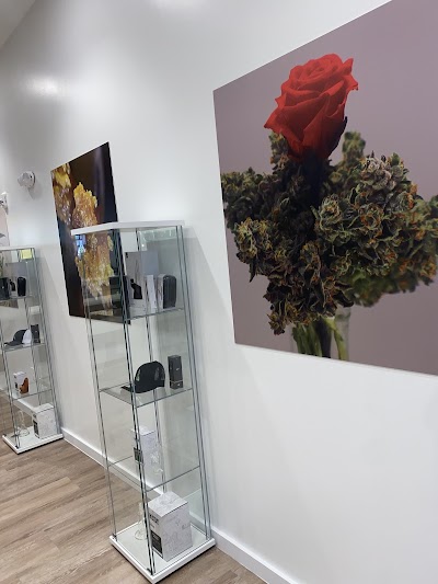 Sanctuary Cannabis Jacksonville Beach Blvd Dispensary