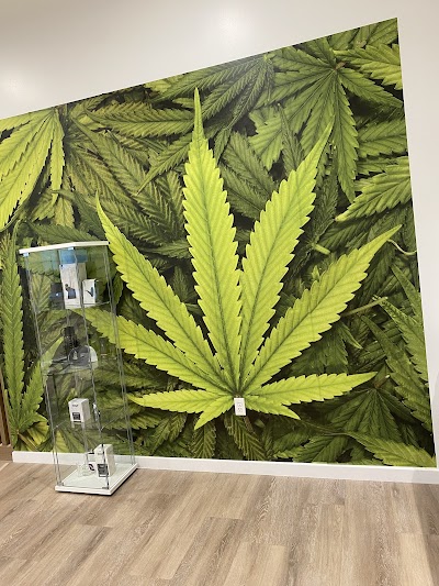 Sanctuary Cannabis Jacksonville Beach Blvd Dispensary