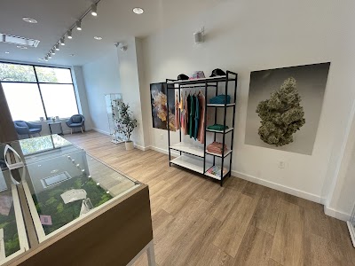 Sanctuary Cannabis Jacksonville Edgewood Dispensary