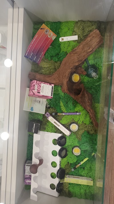 Sanctuary Cannabis Orlando Lee Vista Dispensary