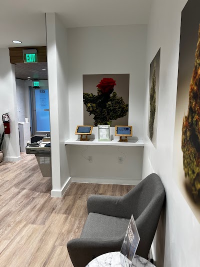 Sanctuary Cannabis Palatka Dispensary