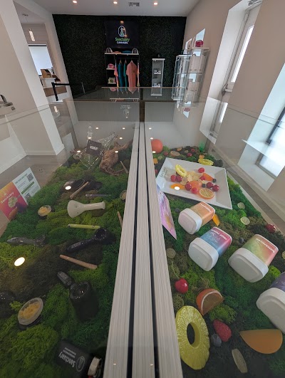 Sanctuary Cannabis Sebring Dispensary