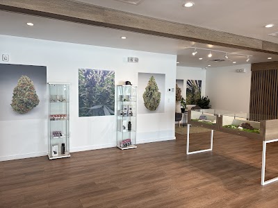 Sanctuary Cannabis Tampa Waters Dispensary