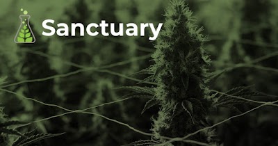 Sanctuary Medicinals Danvers