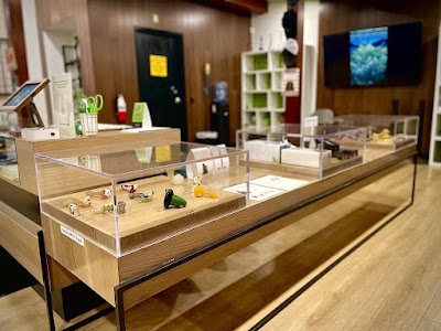 Sanctuary Medicinals Gardner