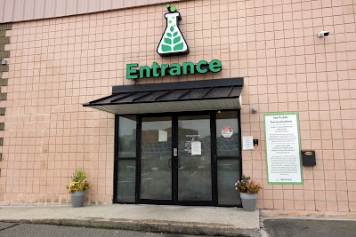 Sanctuary Medicinals Woburn