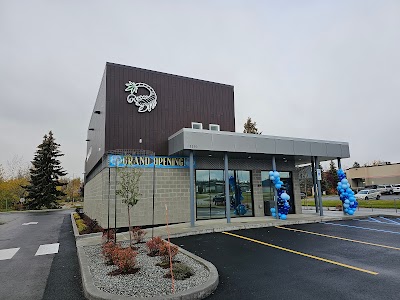 Scorpion Grass - Huffman