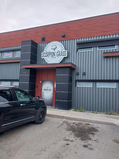 Scorpion Grass - Wasilla