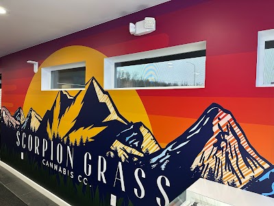 Scorpion Grass - Wasilla