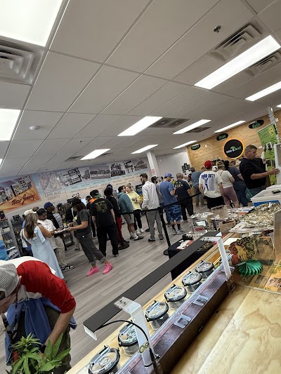 Sea and Leaf Best Cannabis Dispensary Near ( North Cape May)