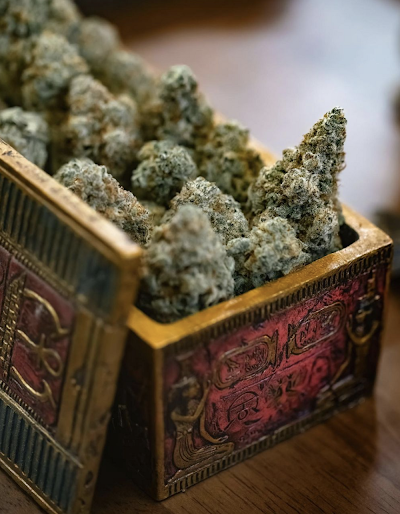 Secret Garden Cannabis Dispensary