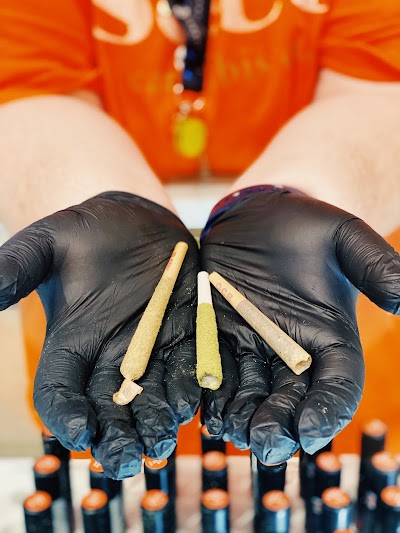 Seed Cannabis Co. Dispensary