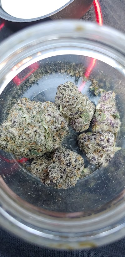 Seed of Life Labs - Glendive