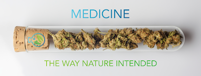 Seed of Life Labs | Billings Dispensary