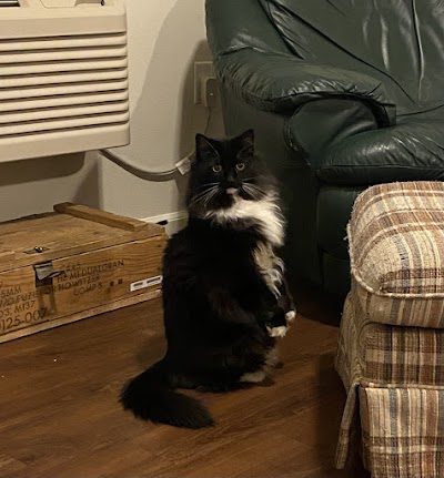 Seed of Life Labs | Billings Dispensary